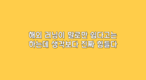 해외 러닝